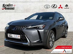 Bild des Angebotes Lexus UX 300e Luxury HUD NAV MatrixLED Leder ACC ASSI