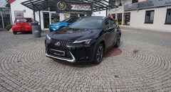 Bild des Angebotes Lexus UX 250h Style Edition