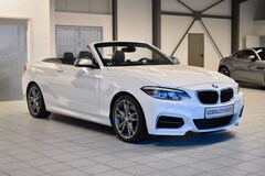 Bild des Angebotes BMW 240 Cabrio Aut/LEDER/CARPLAY/LED/NAVI/CAM/H&K/