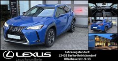 Bild des Angebotes Lexus UX 250h UX250h FWD Style Edition *Satz WKR*SmartPhoneInteg