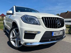 Bild des Angebotes Mercedes-Benz GL 500 GL 500 BlueEfficiency 4Matic (166.873)