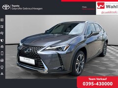 Bild des Angebotes Lexus UX 250h Style Edition PDC SHZ KAMERA ACC LED