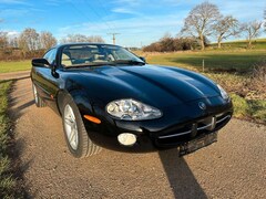 Bild des Angebotes Jaguar XK8 4.2 Coupe Facelift