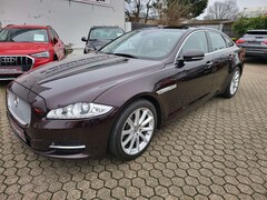 Bild des Angebotes Jaguar XJ Premium Luxury*Pano*Navi*