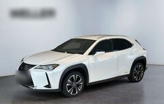 Bild des Angebotes Lexus UX 250h Amazing Edition *LED*CarPlay*SmartKey*