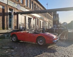 Bild des Angebotes Austin-Healey 100 100/6 BN4