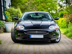 Bild des Angebotes Jaguar XK XK 4.2 Coupe